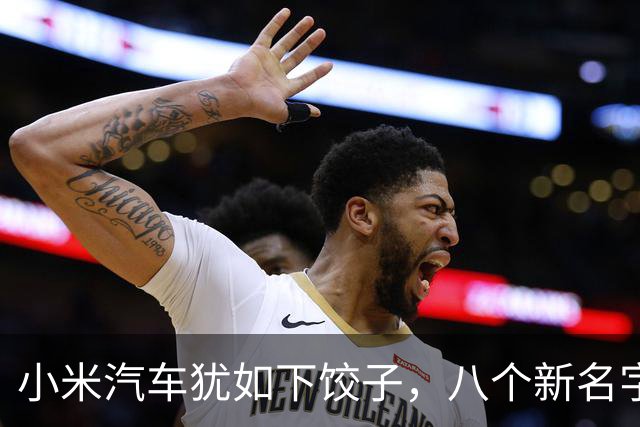 小米汽车犹如下饺子，八个新名字闪亮登场！
