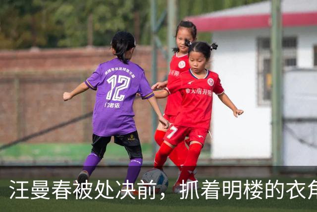 汪曼春被处决前，抓着明楼的衣角说：大姐明镜根本没去过香港，那个养病的女人，只是个替身，明楼一听，脸色煞白