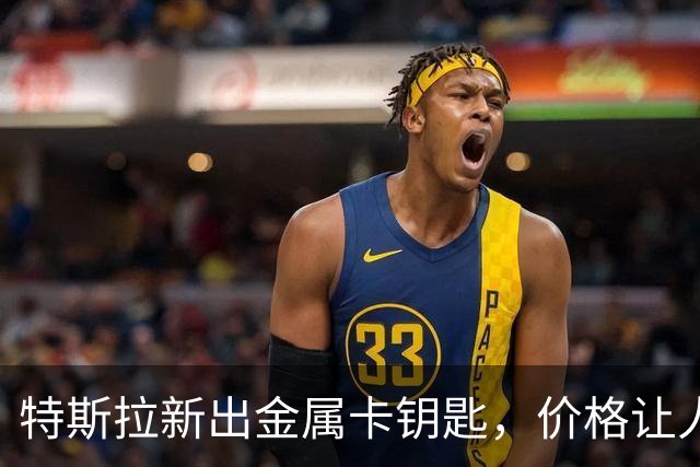 特斯拉新出金属卡钥匙，价格让人忍不住翻白眼！